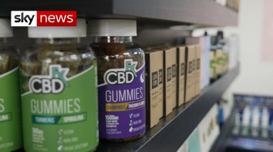 Ban on cultivating CBD oil from cannabis 'unfair' and 'insane', UK farmers say