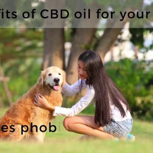 Benefits of CBD oil for pets