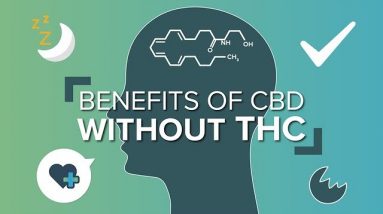 Benefits of CBD without THC
