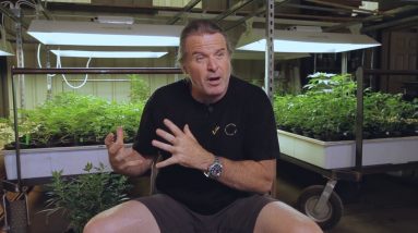 First-Time Cannabis Growing Tips: Kevin Jodrey / Green Flower Media
