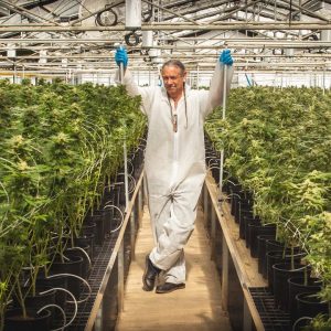 Harborside Cannabis Farm Tour: Steve DeAngelo / Green Flower
