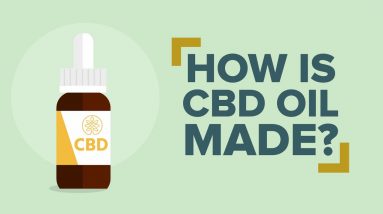 How is CBD Oil Made?