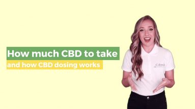 How Much CBD Should I Take? The Best Guide On How CBD Dosing Works!
