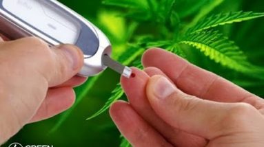 Using Cannabis to Treat Diabetes: Jessica Peters / Mara Gordon / Green Flower