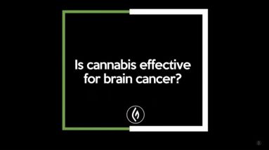 Using Cannabis for Brain Cancer: Mara Gordon / Green Flower Cannabis Beginner's Series