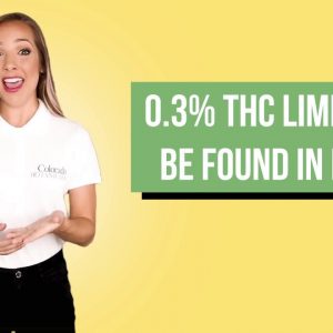 Full Spectrum vs Broad Spectrum CBD Oil Products - What's the difference & which is better?