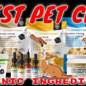 #1 rated Pet CBD line,  Honest Paws CBD, added to our store & website | CBD Headquarters