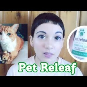 Pet Releaf CBD Oil for Pets REVIEW! Helped my senior cat stay comfortable