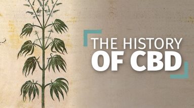 The History of Hemp and CBD