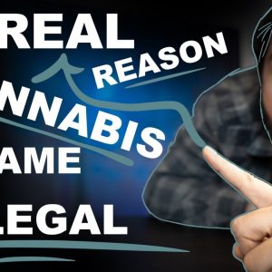 THE REAL REASON CANNABIS BECAME ILLEGAL