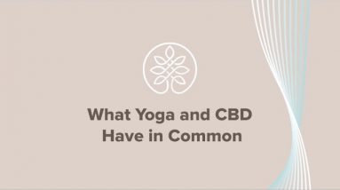 What CBD and Yoga Have In Common