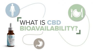 What is CBD Bioavailability?