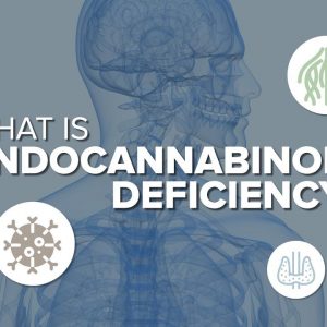 What is Endocannabinoid Deficiency?