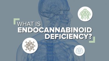 What is Endocannabinoid Deficiency?
