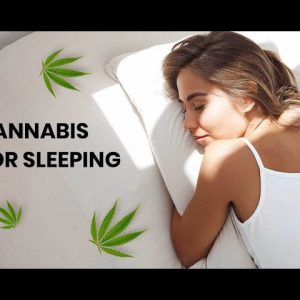 Can You Restore Your Natural Sleep Cycle With Cannabis?