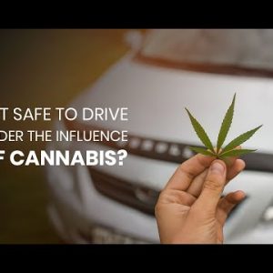 Cannabis and Driving - Is It Dangerous To Drive Under The Influence?