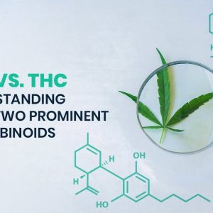 CBD vs. THC â€“ Understanding These Two Prominent Cannabinoids