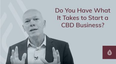 Do You Have What It Takes to Start a CBD Business?