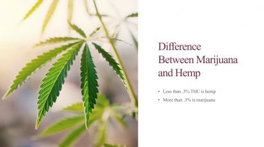 Educational Series (6 of 31): The Difference Between Hemp and Marijuana