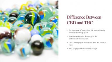 Educational Series (7 of 31): The Difference Between CBD and THC