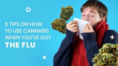 Using Cannabis When You've Got The Flu