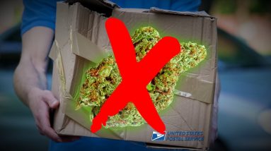 USPS is BANNING CBD & Delta-8 Products - Here's What You Should Know!