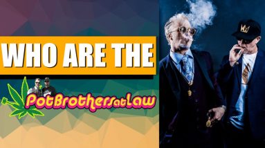 Who Are The Pot Brothers at Law? | CBD Headquarters