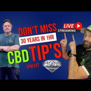 #shorts on CBD Live Stream Most Common Mistake Buying