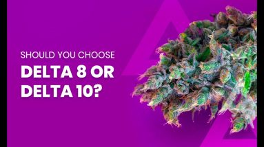 Should you choose Delta 8 or Delta 10 THC?