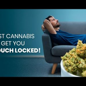 These 5 Cannabis Strains Will Get You Completely Couch Locked