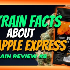 7 Strain Facets About Pineapple Express | Strain Review #8