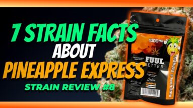 7 Strain Facets About Pineapple Express | Strain Review #8