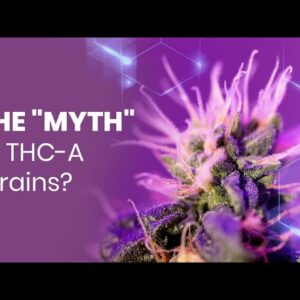 THC vs THC-A - What are THC-A Cannabis Strains and are they MORE Potent?