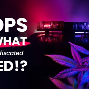 What Happens to Weed That Gets Seized by the Police?