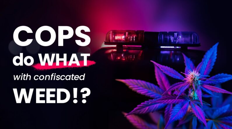 What Happens to Weed That Gets Seized by the Police?