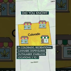Colorado's Obsession with Cannabis: Did You Know? #shorts