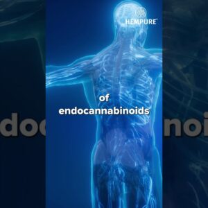 What are the components of the endocannabinoid system? (Part 1)