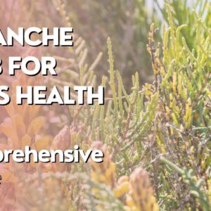 Cistanche Herb for Men's Health: A Comprehensive Guide