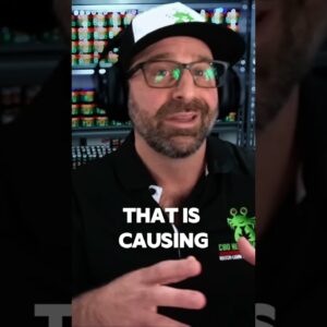 How To Fix the CBD Industry